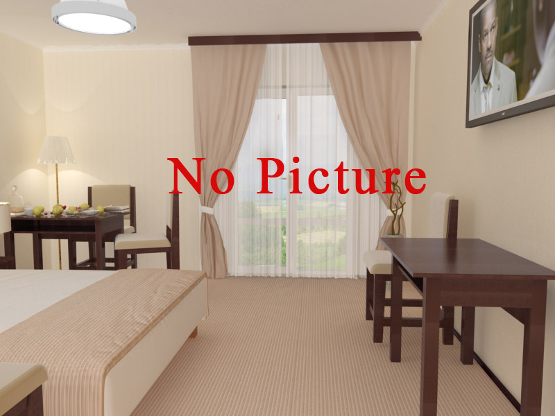 Standard Comfort single в Гостинице Дилижанс